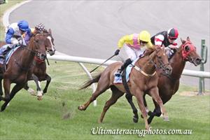 Irish apprentice celebrates first Australian winner in the city 